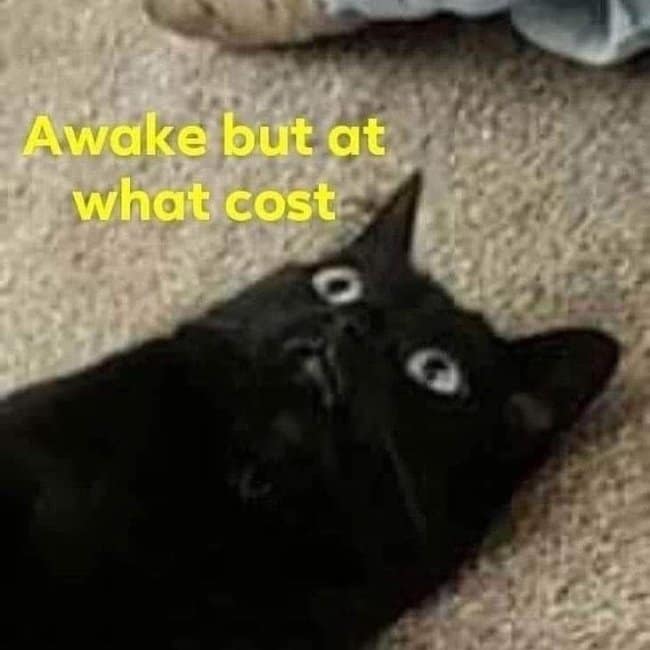 Existential dread hangover meme showing a black cat lying flat on carpet staring blankly into space with yellow text reading "Awake but at what cost."