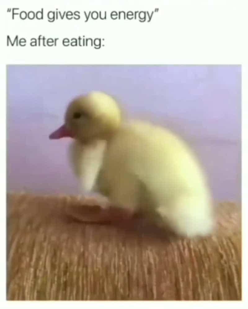 A motion-blurred yellow duckling collapses sideways onto a rug under text mocking the idea that food provides energy in a hilarious introvert meme.