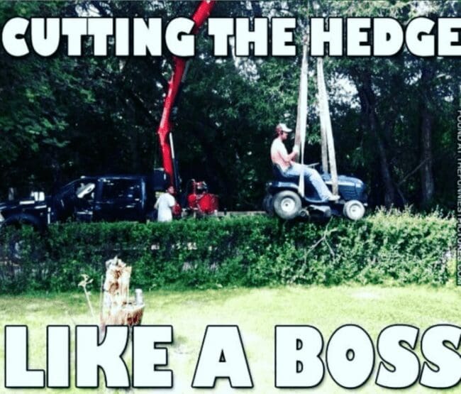 Lawn mower suspended by crane straps over tall hedge with man riding it for lawn meme.