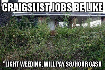 Completely overgrown house buried in thick weeds for funny low-pay Craigslist gig lawn meme.