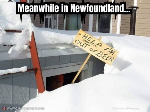 Meanwhile in Canada meme of a snowbound man holding a plea for more beer.