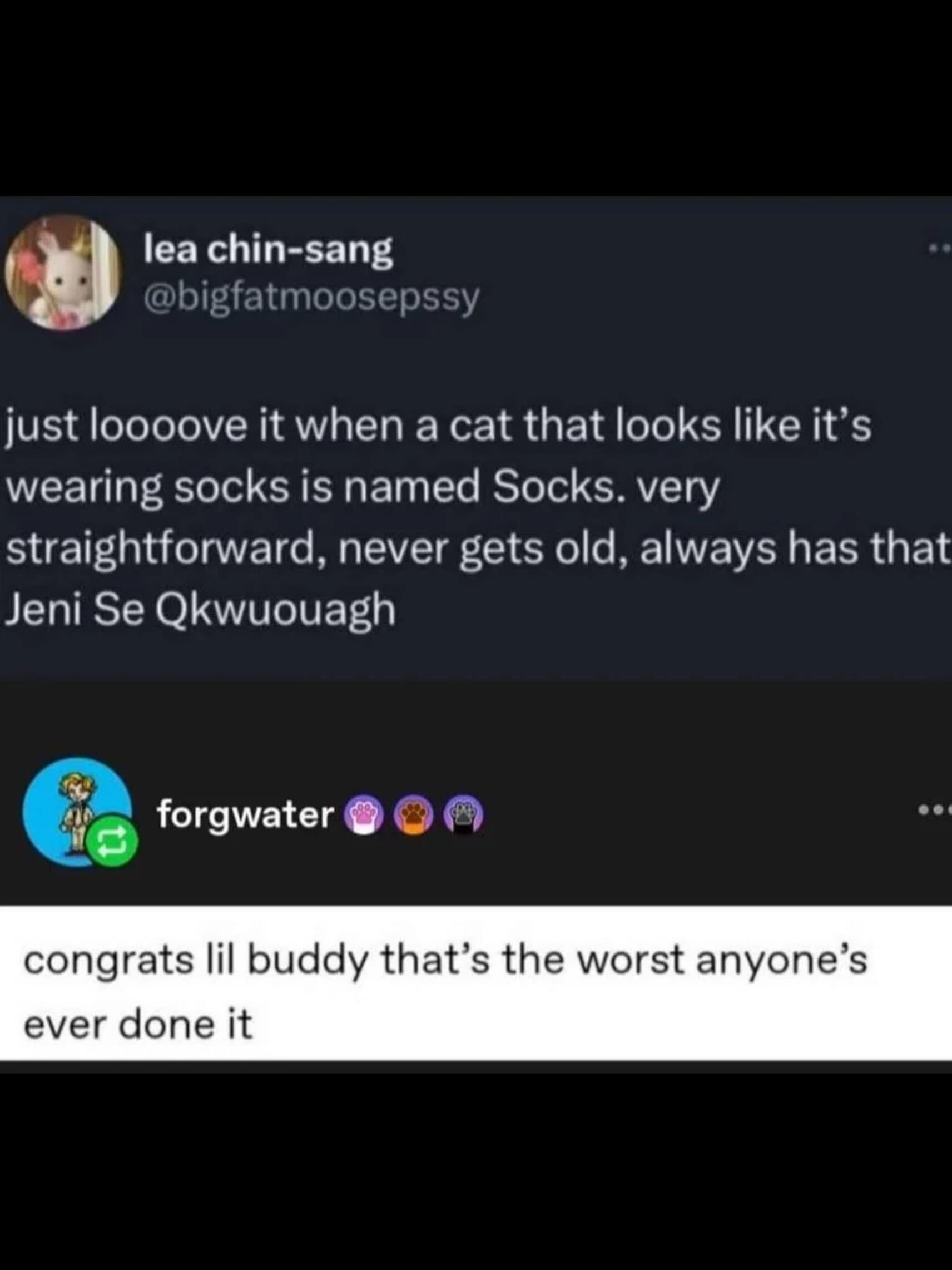 Tumblr post horribly butchering 'je ne sais quoi' as 'Jeni Se Qkwuouagh' while discussing straightforward cat naming conventions.