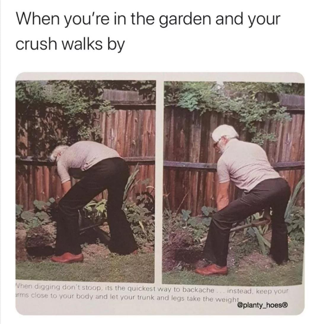 A gardening textbook illustration repurposed as a funny meme showing an elderly man demonstrating proper squatting posture while digging, captioned "When you're in the garden and your crush walks by."