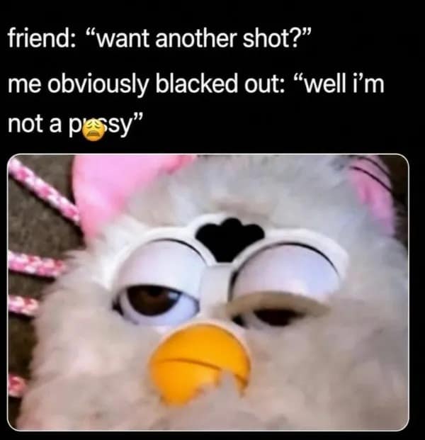 A half-conscious Furby toy image in this meme dump with droopy eyelids, representing someone blacked out accepting another shot of alcohol.