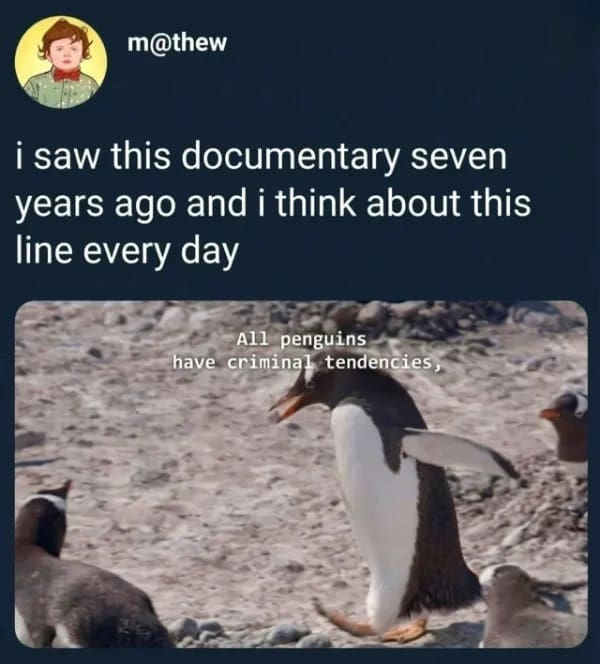 A nature documentary screenshot operating as a hilarious meme showing a walking penguin with captions reading "All penguins have criminal tendencies."