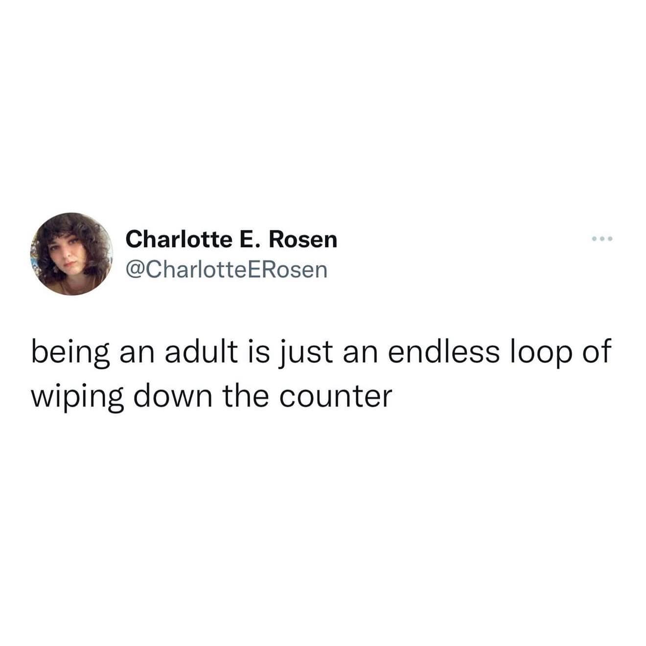 Tweet from Charlotte E. Rosen observing that adult life is just wiping down kitchen counters forever.