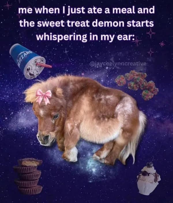 Miniature brown pony wearing a pink bow floating in outer space surrounded by Dairy Queen Blizzards, Reese's cups, and ice cream sundaes.