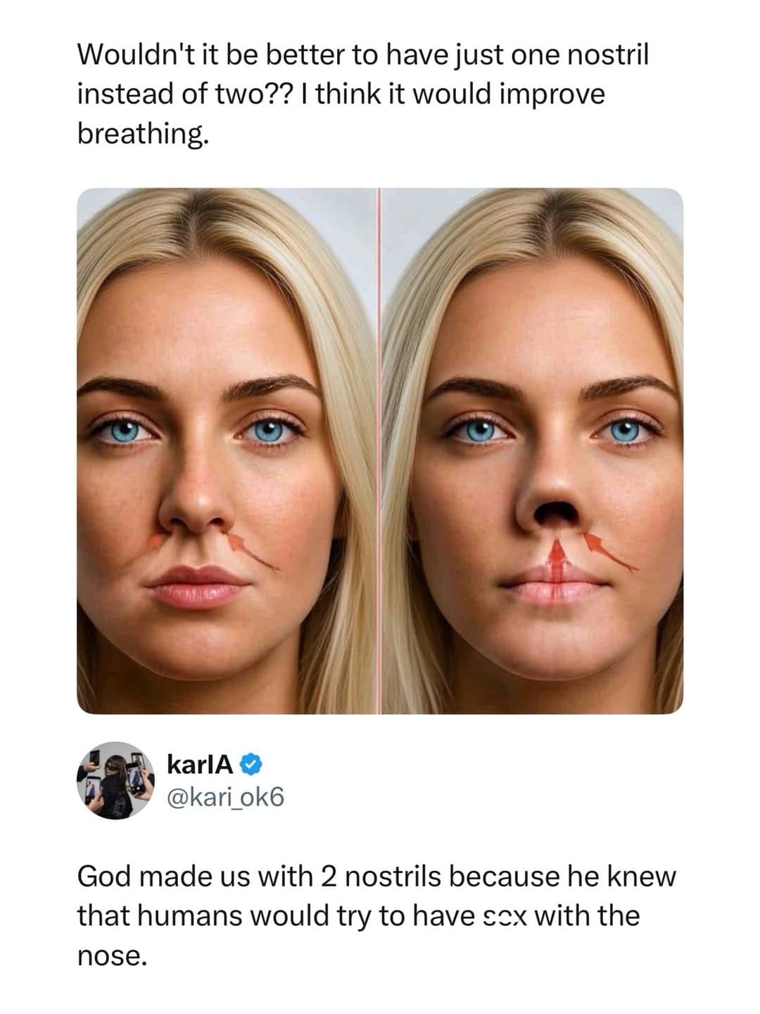 bizarre anatomical debate entry in our meme dump shows an edited photo of a single central nostril alongside an unhinged social media reply explaining why humans have two.