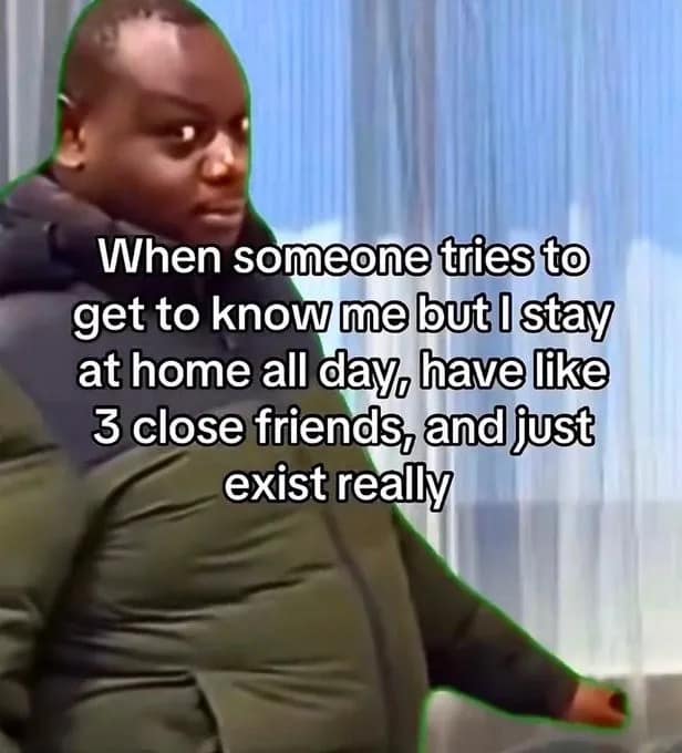 An introverted lifestyle meme dump post showing a man in a green puffer coat turning around with a skeptical face, captioned about people trying to get to know someone who stays home all day and just exists.