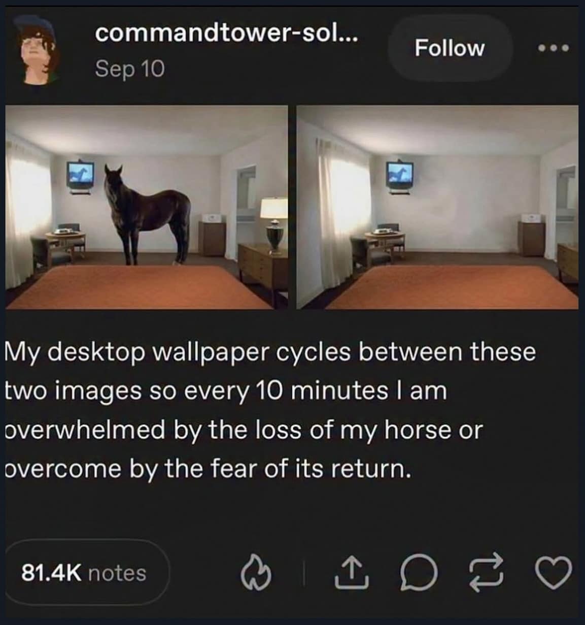Tumblr post featuring cycling desktop wallpapers of a horse appearing and disappearing in a living room as a hilarious meme.