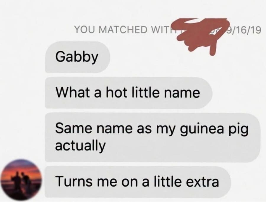 A disastrous dating app opener screenshot in this meme dump where a match tells "Gabby" that sharing a name with his guinea pig turns him on extra.