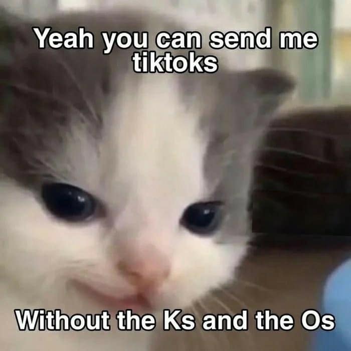 Close-up photo of a tiny kitten making a cheeky face, with text making a wordplay joke asking to send "tiktoks" without the letters K and O.