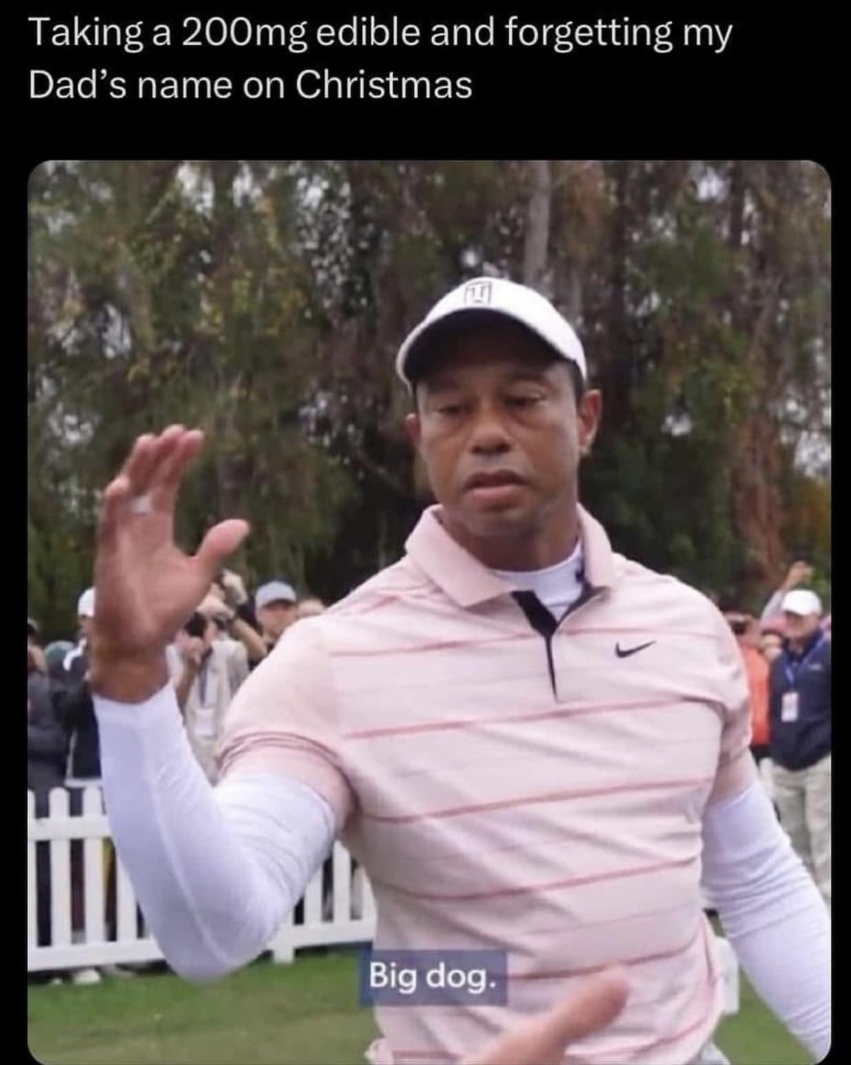 Golf legend Tiger Woods raising his hand with a dazed, glassy-eyed expression, captioned about taking a high-dose edible on Christmas and greeting his dad as "Big dog."
