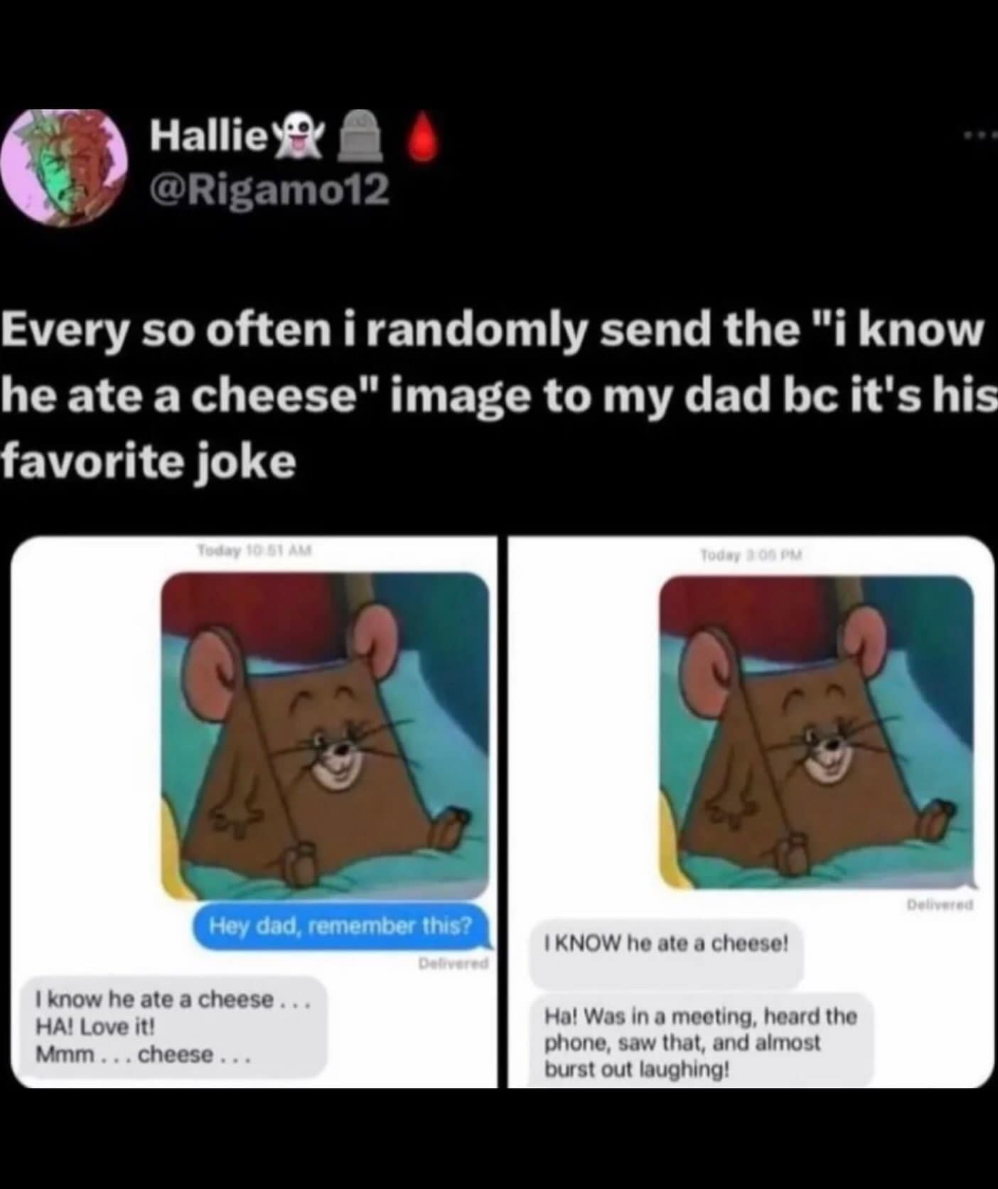 Text conversation showing a daughter sending her dad an image of Jerry from Tom and Jerry shaped like a cheese wedge, bringing him endless joy in a hilarious meme.