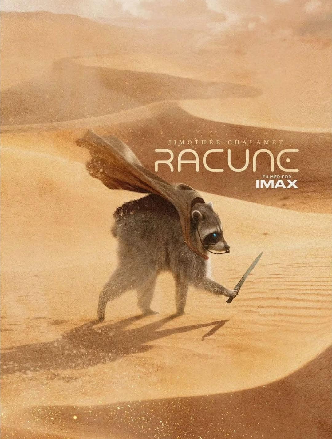 A movie poster parody in this dank meme set titled "RACUNC," featuring a hooded, cloaked raccoon wielding a dagger in a desert landscape.