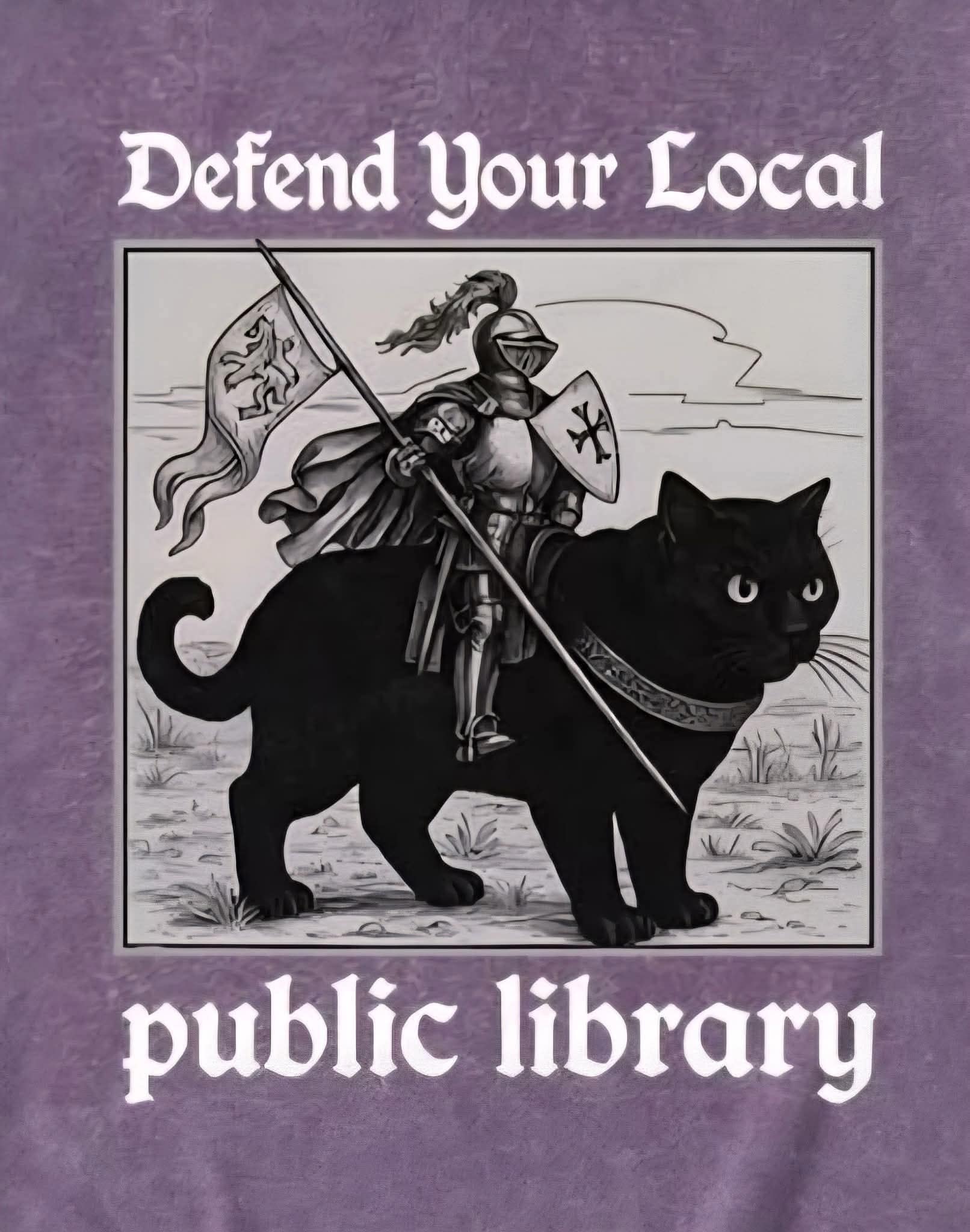 A fantasy art illustration included in this meme dump showing a knight with a lance and banner riding a giant black cat, captioned "Defend Your Local public library."
