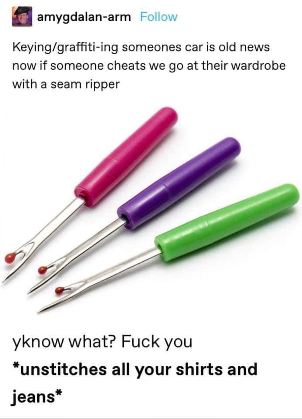 A unique revenge idea screenshot in this meme dump displaying seam rippers above text suggesting unstitching a cheating ex-partner's entire wardrobe line by line.