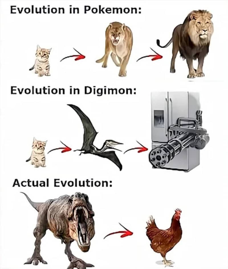 Evolution chart comparing Pokémon and Digimon logic against real life, showing a kitten turning into a minigun-equipped refrigerator in Digimon in a meme dump.