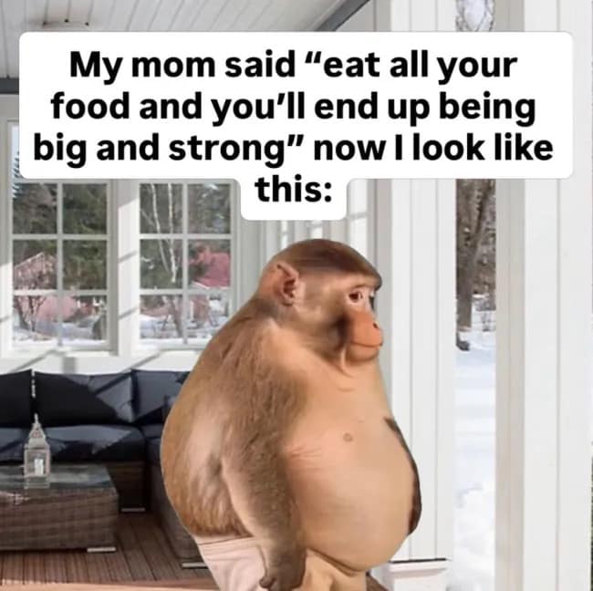 A belly-heavy monkey standing upright on a winter porch, representing the physical reality of following childhood advice to finish every meal to grow big and strong.