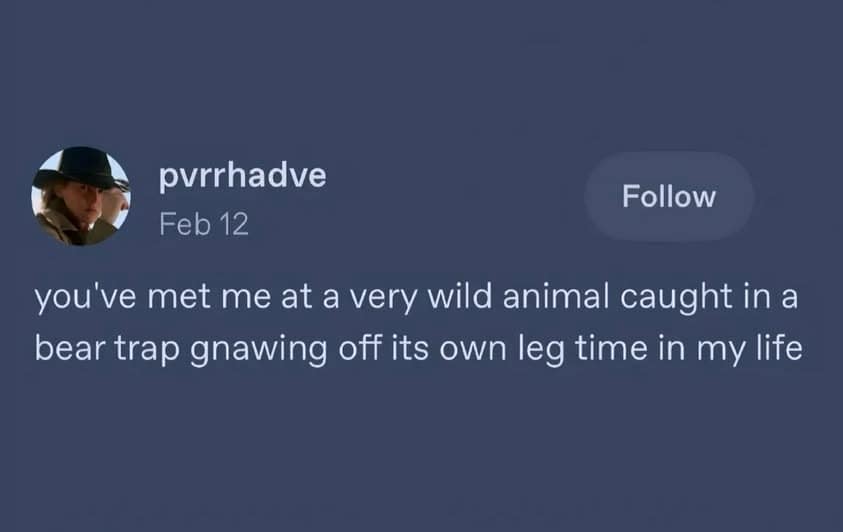 A chaotic life-update post in this meme dump tweet by @pvrrhadve describing current mental state as a wild animal caught in a bear trap gnawing off its own leg.