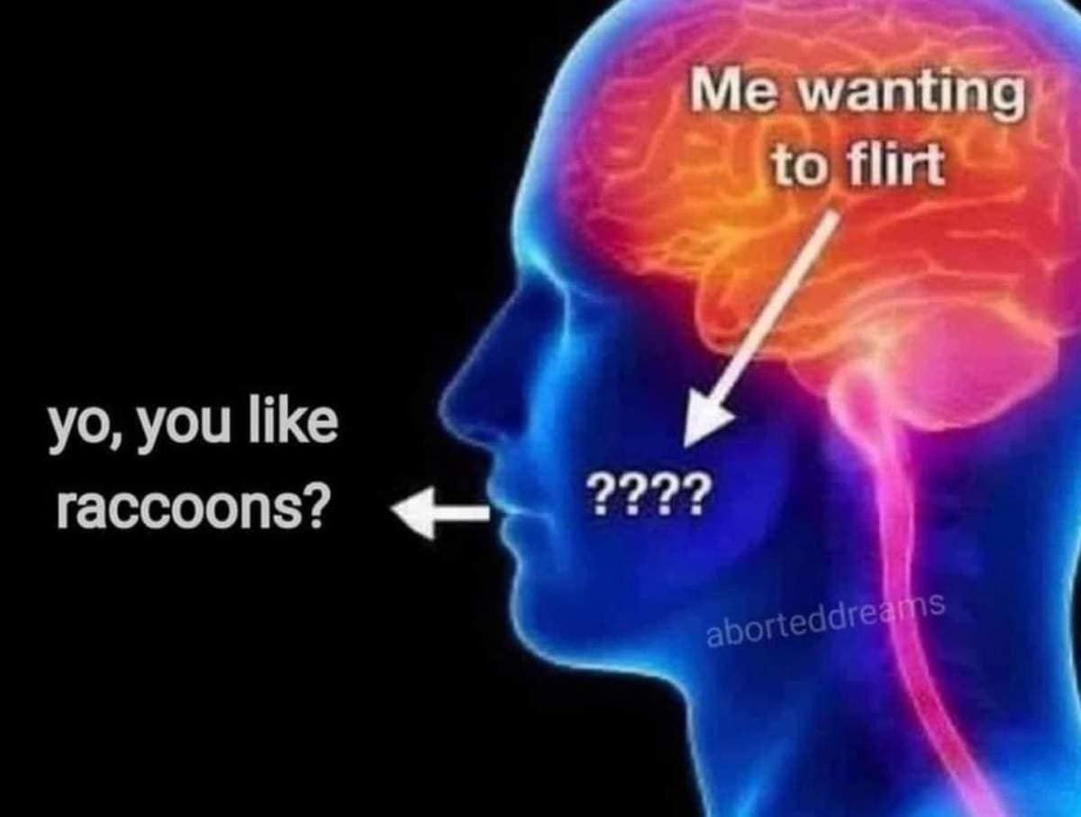 A social awkwardness brain diagram in this funny meme tracking a thought traveling from "Me wanting to flirt" through confusion to outputting "yo, you like raccoons?"
