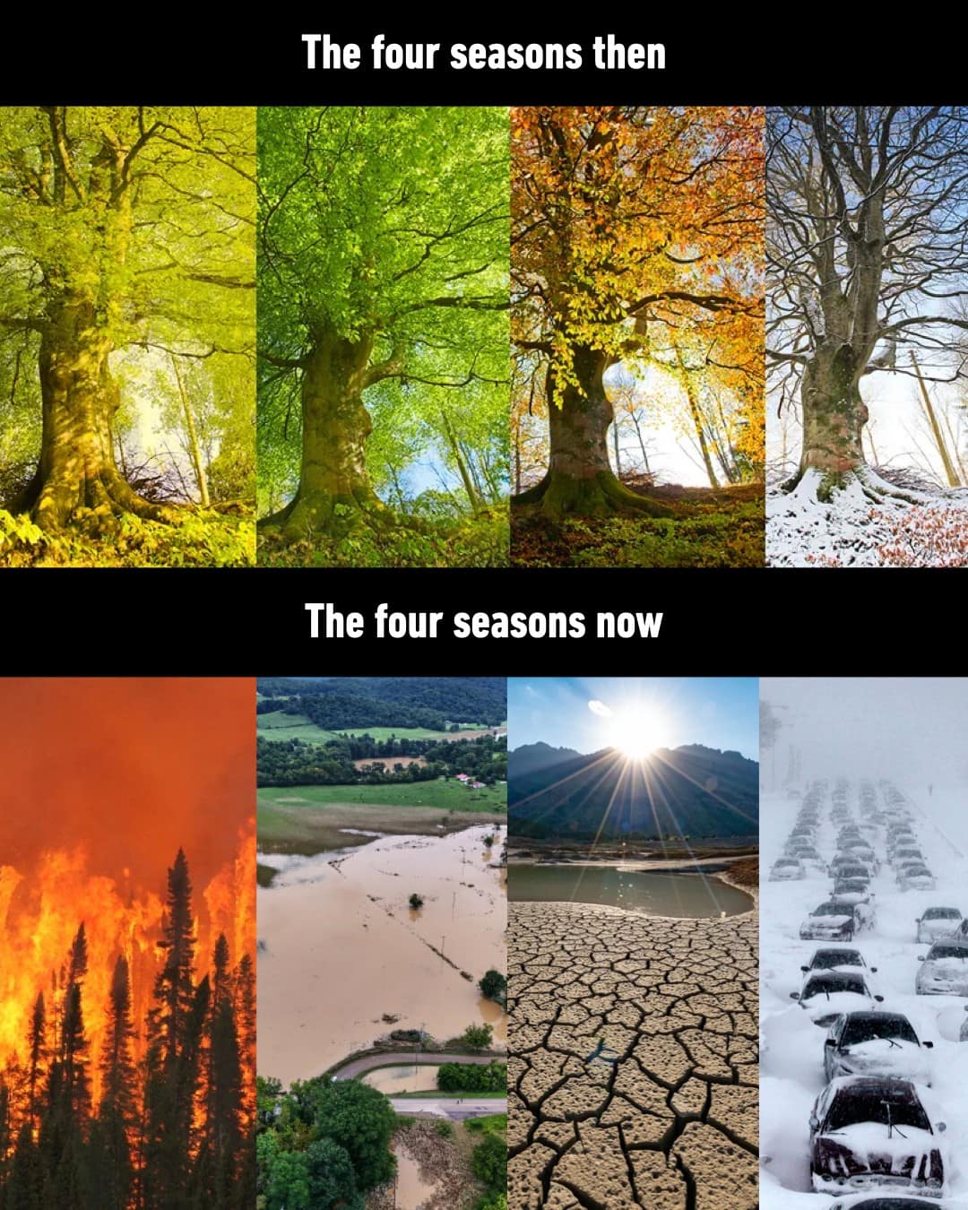 Comparative two-panel image contrasting picturesque traditional four seasons against modern climate extremes of wildfires, flash floods, parched droughts, and severe blizzards.