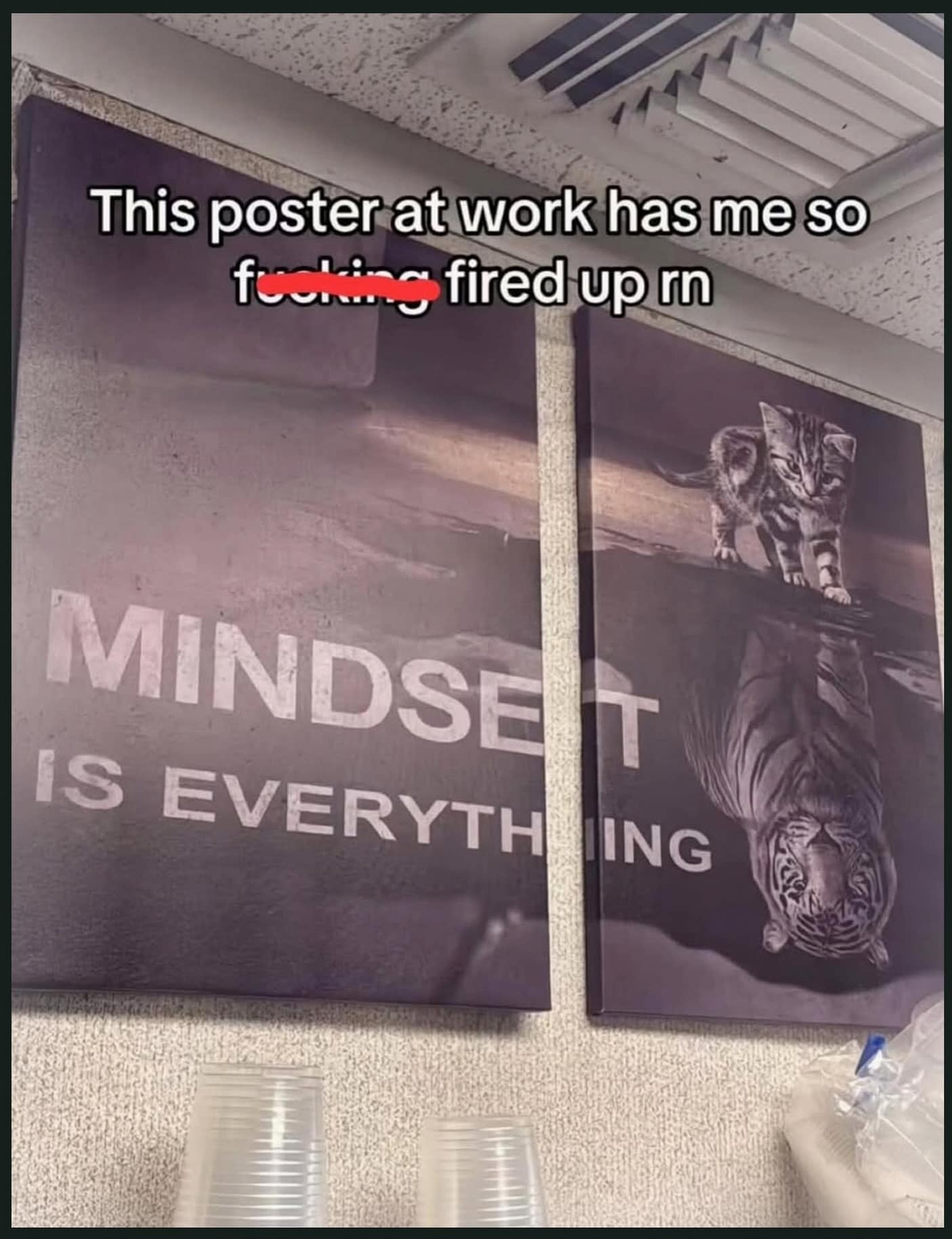 Split workplace motivational wall poster reading "MINDSET IS EVERYTHING" depicting a small kitten reflecting as a tiger, with text about getting intensely inspired at work.