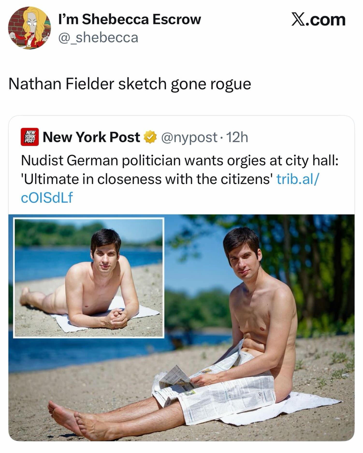 News article screenshot reporting on a nudist German politician proposing city hall orgies, humorously compared to an extreme Nathan Fielder television sketch.