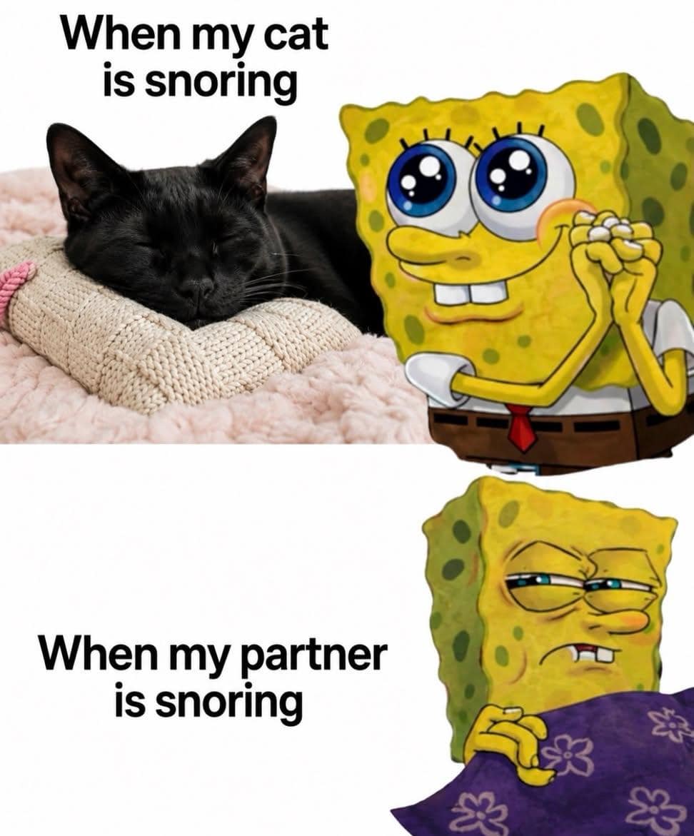 A pet double-standard hilarious meme using SpongeBob reactions to compare loving a cat's cute snoring versus glaring in pure rage at a partner snoring in bed.
