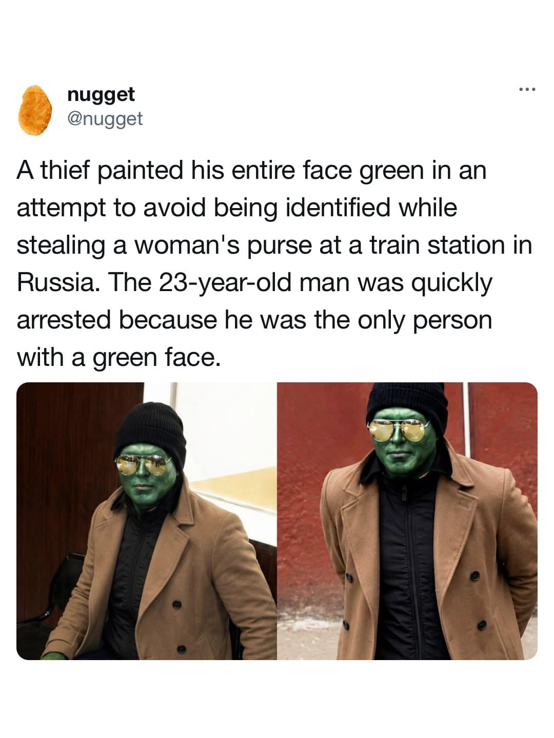 A criminal failure news story in this meme dump showing a Russian thief who painted his face green like the Hulk to hide his identity, making him immediately identifiable.