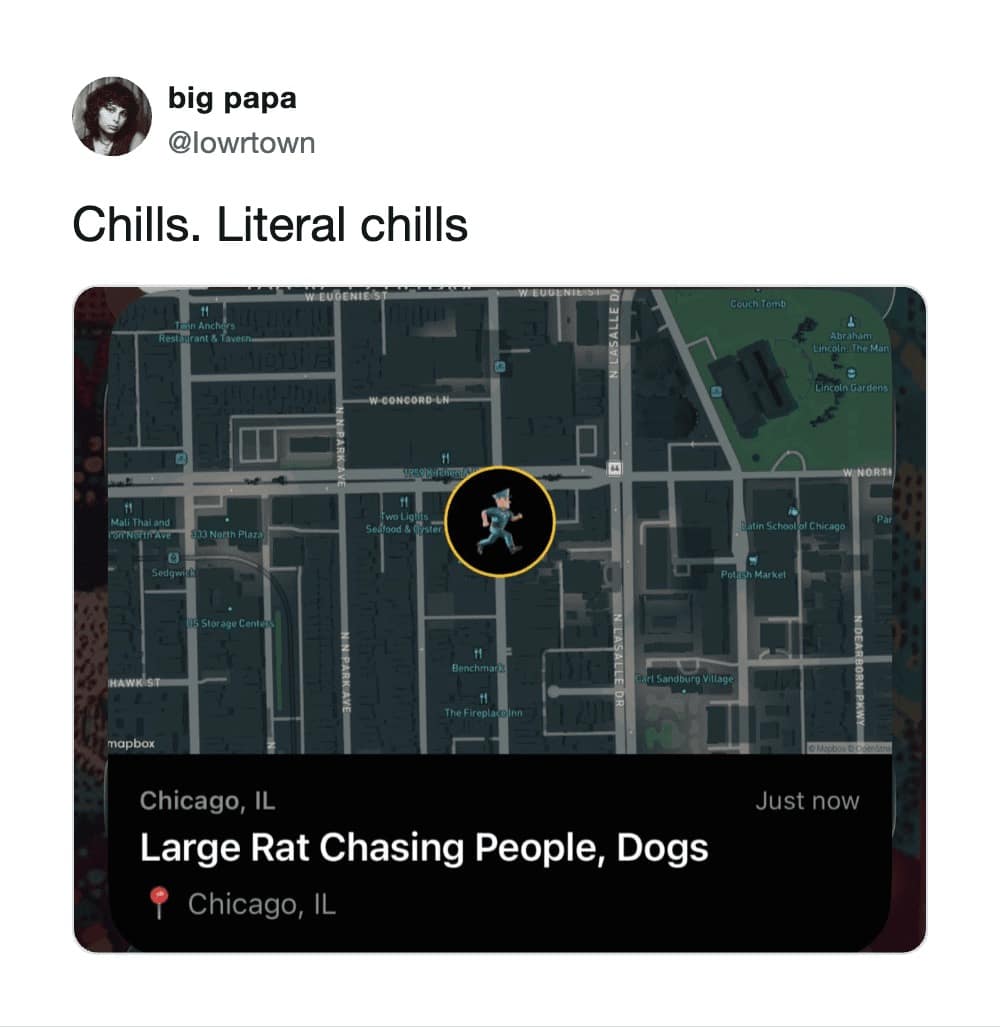A terrifying local alert screenshot in this meme dump showing a Chicago Citizen map notification for "Large Rat Chasing People, Dogs," captioned "Chills. Literal chills."