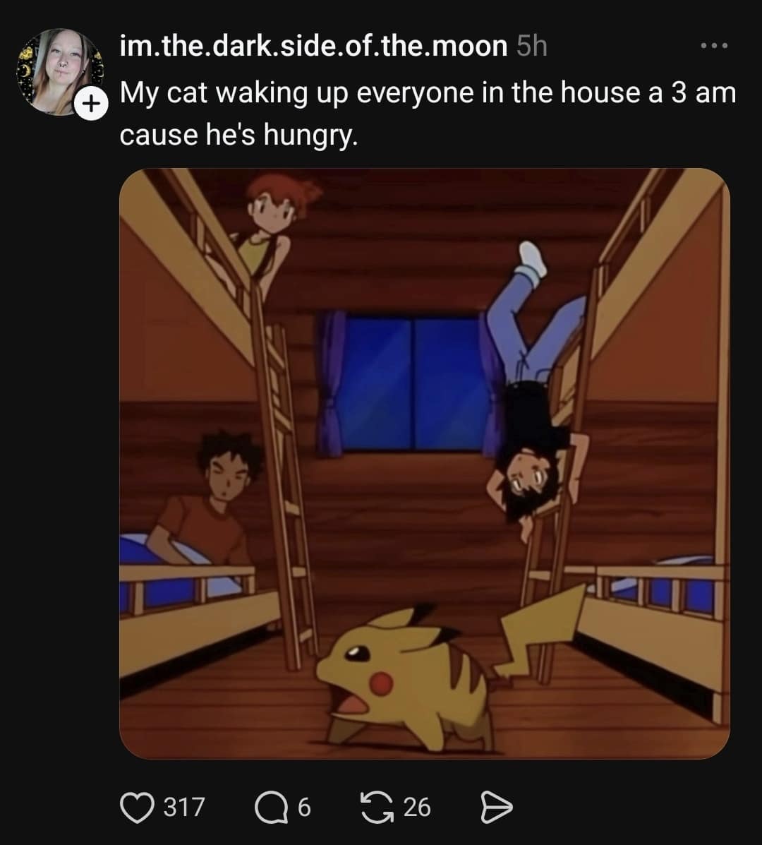 A chaotic 3 AM pet wake-up post featured in this meme dump using an animated Pokémon screenshot of Ash falling off a bunk bed while Pikachu screams for breakfast.