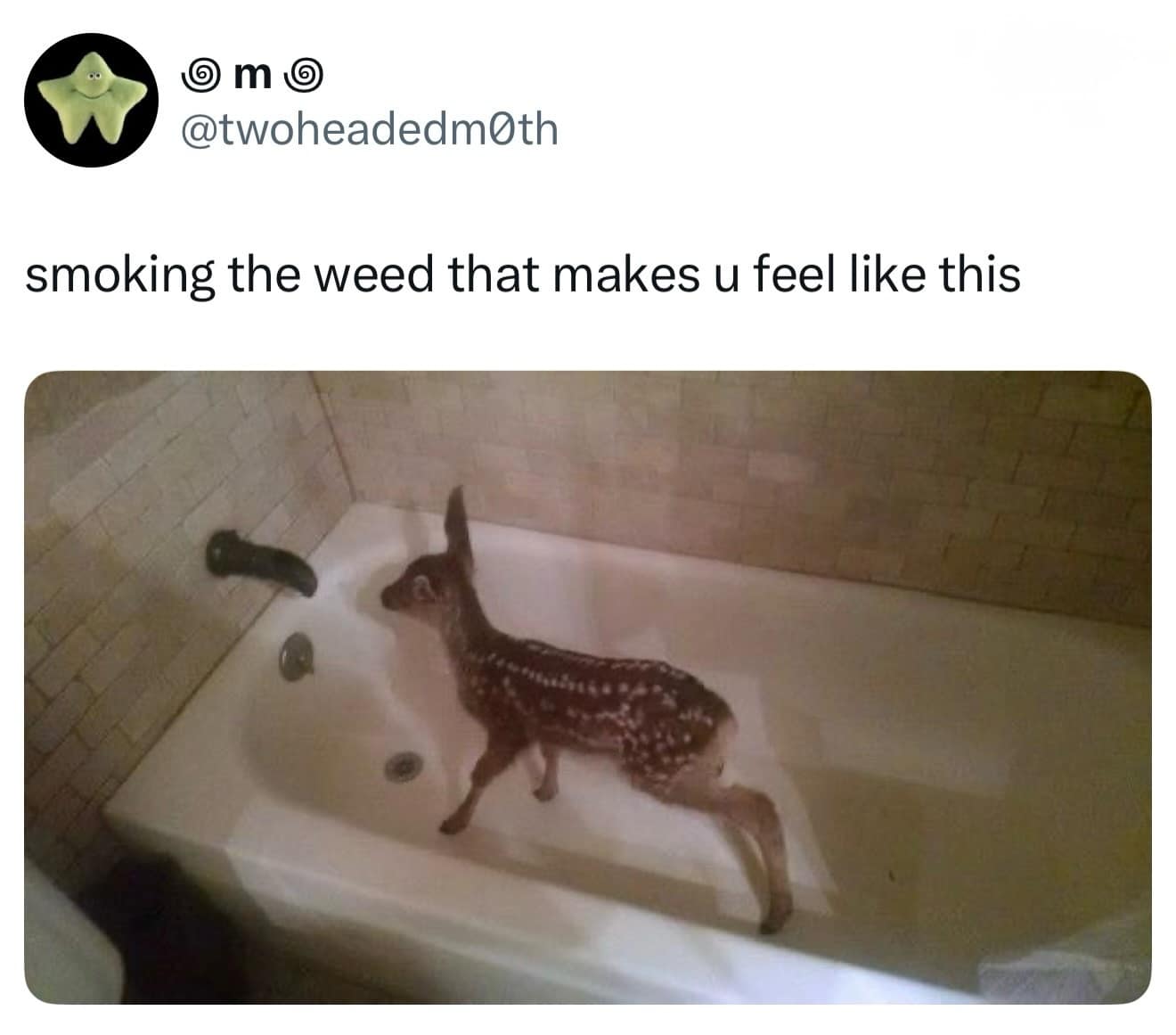 A spotted white-tailed deer fawn standing confused inside a tiled home bathtub under a dark water spout, capturing a disorientation reaction.