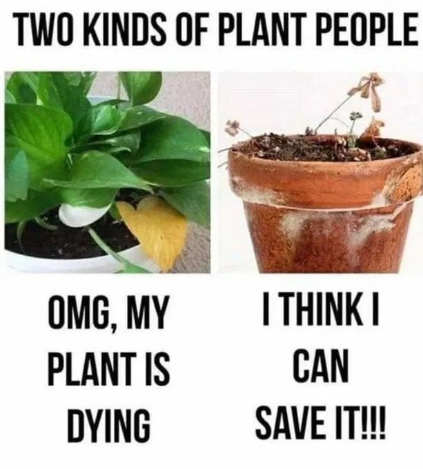 A side-by-side plant owner comparison hilarious meme contrasting someone panicking over a single yellow leaf on a healthy plant with someone holding out hope for a completely dead, withered stick in a pot.