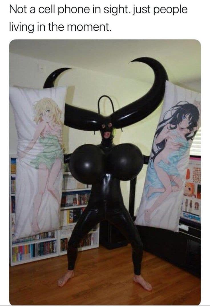 A person wearing a shiny black latex bodysuit with giant inflatable horns and breasts posing between two anime dakimakura body pillows.