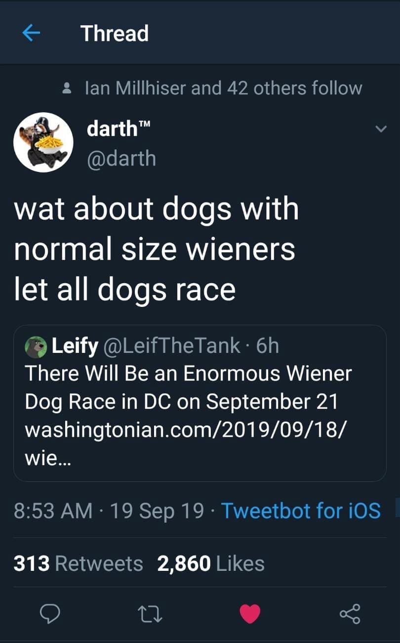 A dog race misunderstanding tweet in this meme dump where @darth advocates for dogs with "normal size wieners" after misinterpreting a headline about a Dachshund race.