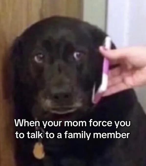 A forced phone call meme dump image showing a black lab looking terrified as a phone is held up to its ear under text about moms making kids talk to distant relatives.
