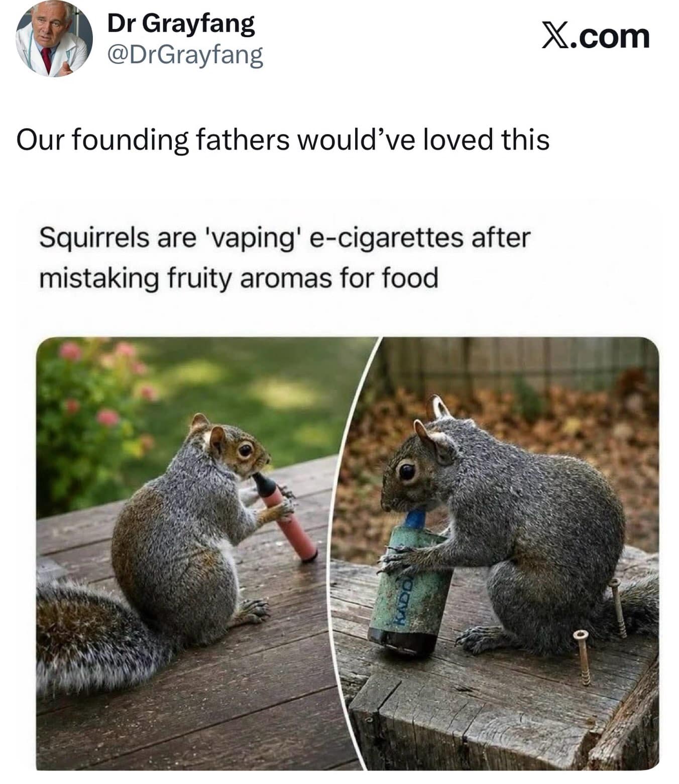 Screenshot of a news headline about wild squirrels holding colorful disposable vape pens after mistaking sweet artificial fruit scents for food.