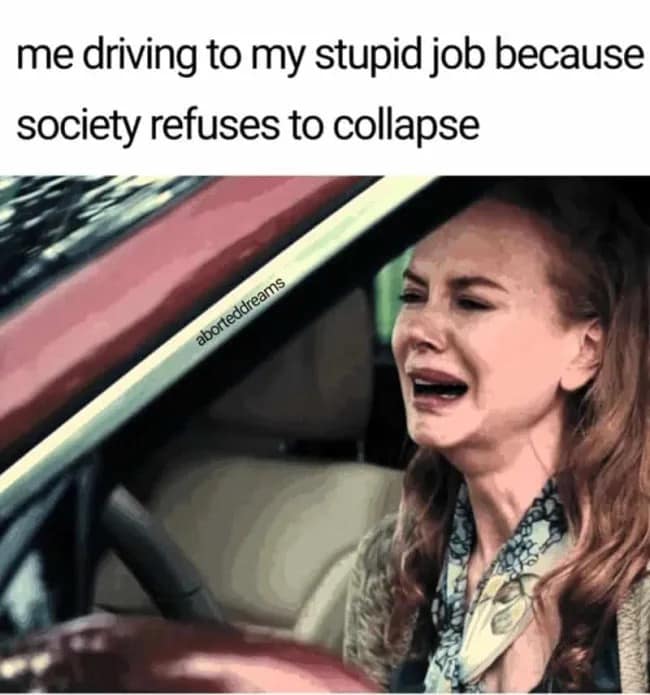 A relatable commuting reaction post in this meme dump showing Nicole Kidman crying hysterically at her steering wheel because society refuses to collapse and cancel work.