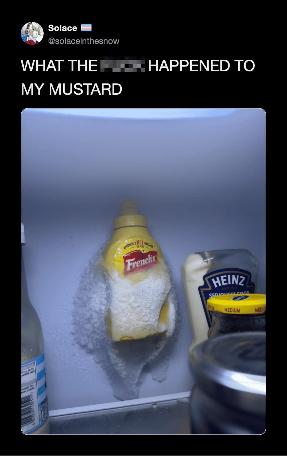A frozen kitchen appliance catastrophe in this meme dump featuring a French's yellow mustard bottle encased in a massive stalactite of freezer frost, captioned "WHAT THE F*** HAPPENED TO MY MUSTARD."