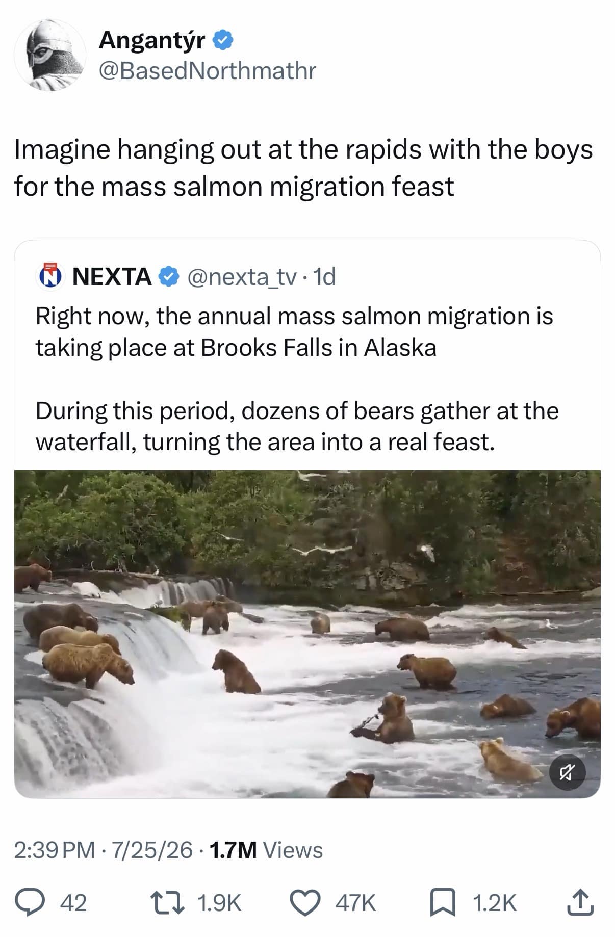 A nature wildlife post included as a meme dump entry showing dozens of Alaskan brown bears gathering at a waterfall, captioned as hanging out with the boys for a salmon feast.