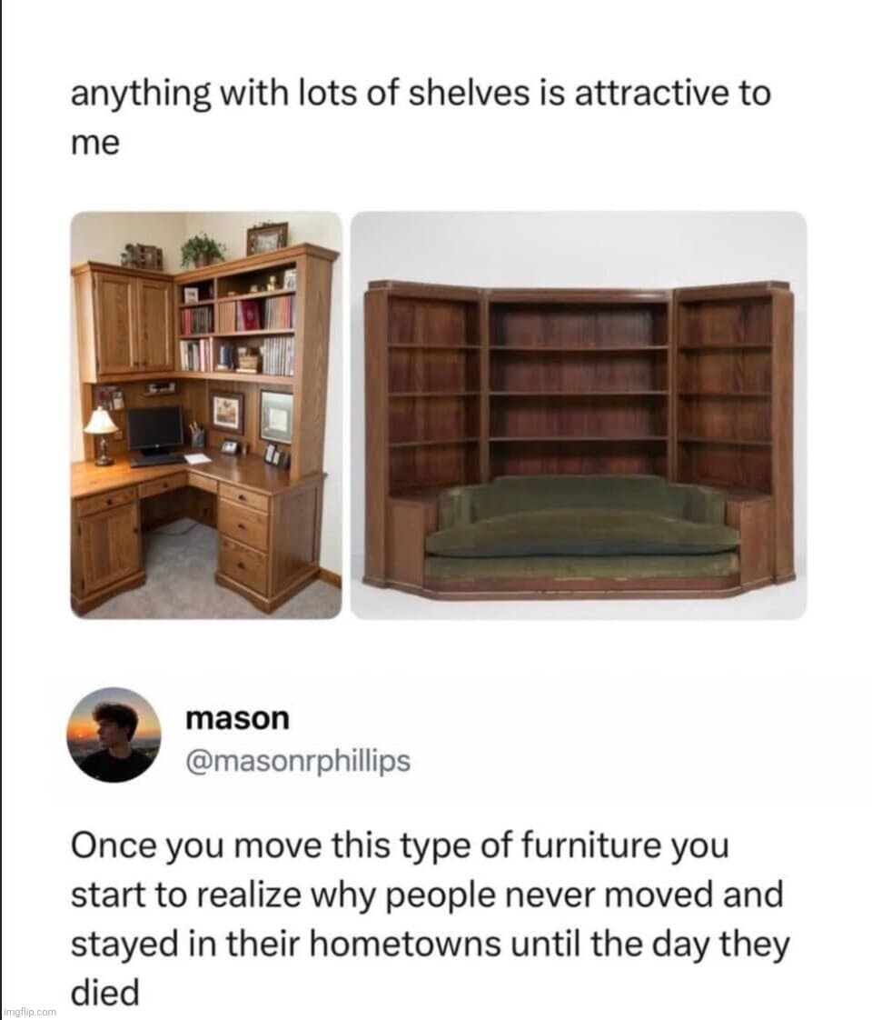 A real estate furniture realization in this meme dump featuring massive solid-wood built-in bookcases and a tweet explaining that people only stayed in their hometowns to avoid moving them.