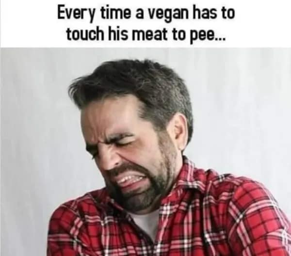A cringe-face reaction photo in a meme dump mocking the double-meaning phrase "Every time a vegan has to touch his meat to pee..."
