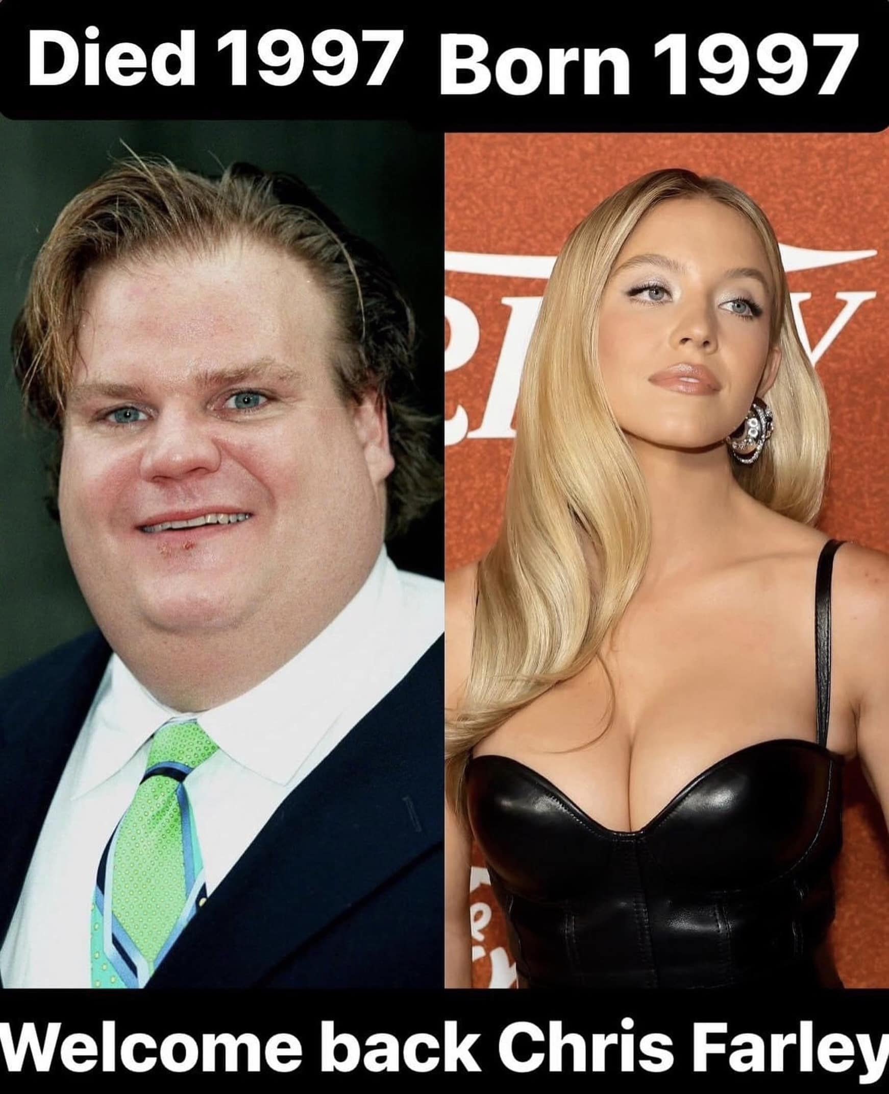Side-by-side comparison photos of comedian Chris Farley and actress Sydney Sweeney, jokingly claiming reincarnation based on their matching 1997 death and birth years.