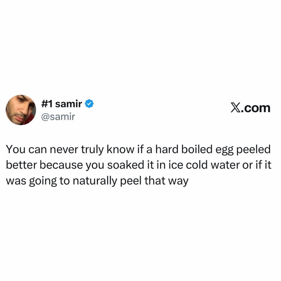 An existential culinary text tweet in this meme dump pondering whether ice baths actually help peel hard-boiled eggs or if it's purely placebo and luck.