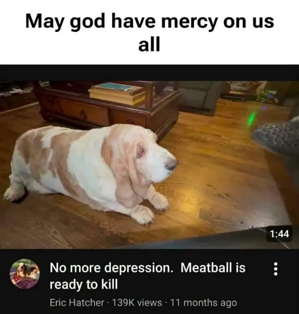 A dark humor YouTube thumbnail screenshot in this meme dump showing a chunky basset hound titled "No more depression. Meatball is ready to kill."