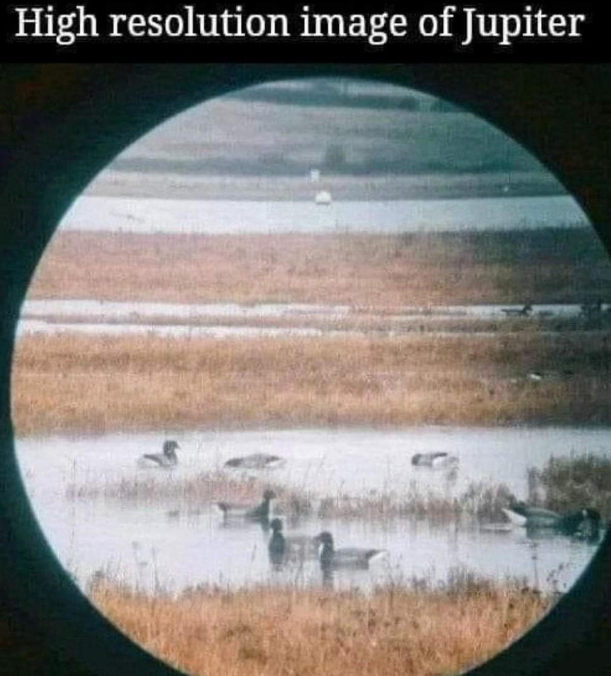 An optical illusion photography post featured in this meme dump showing a grassy duck pond viewed through binoculars that perfectly resembles the atmosphere and bands of Jupiter.
