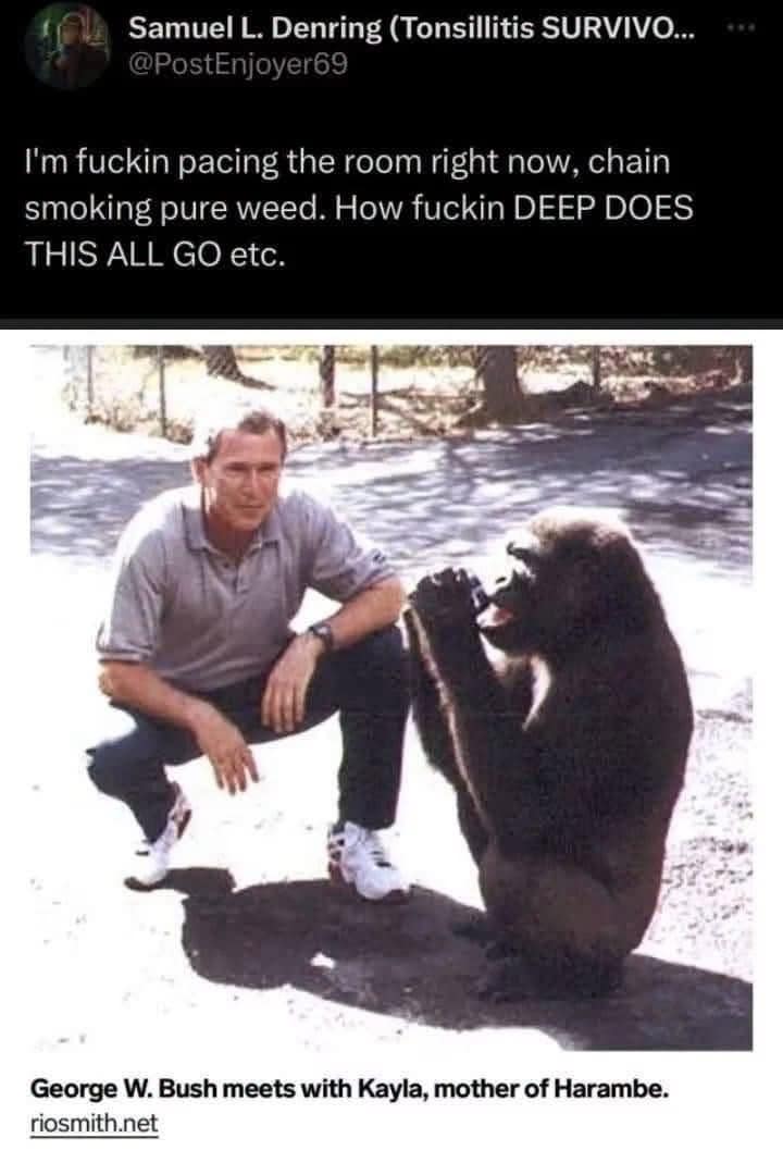 A conspiracy theory satire post in a meme dump showing a tweet about chain-smoking weed while looking at a historical photo of George W. Bush squatting next to Harambe's mother.