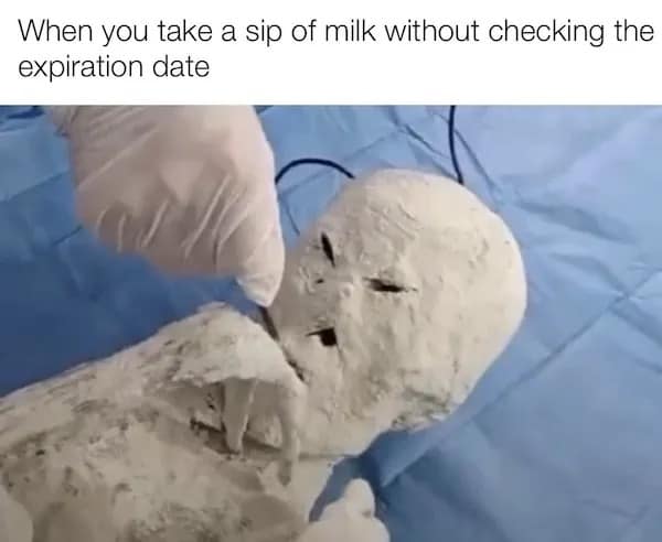 A visceral disgust reaction image in a meme dump showing a dried alien mummy figure being dissected under text about taking a sip of expired milk.