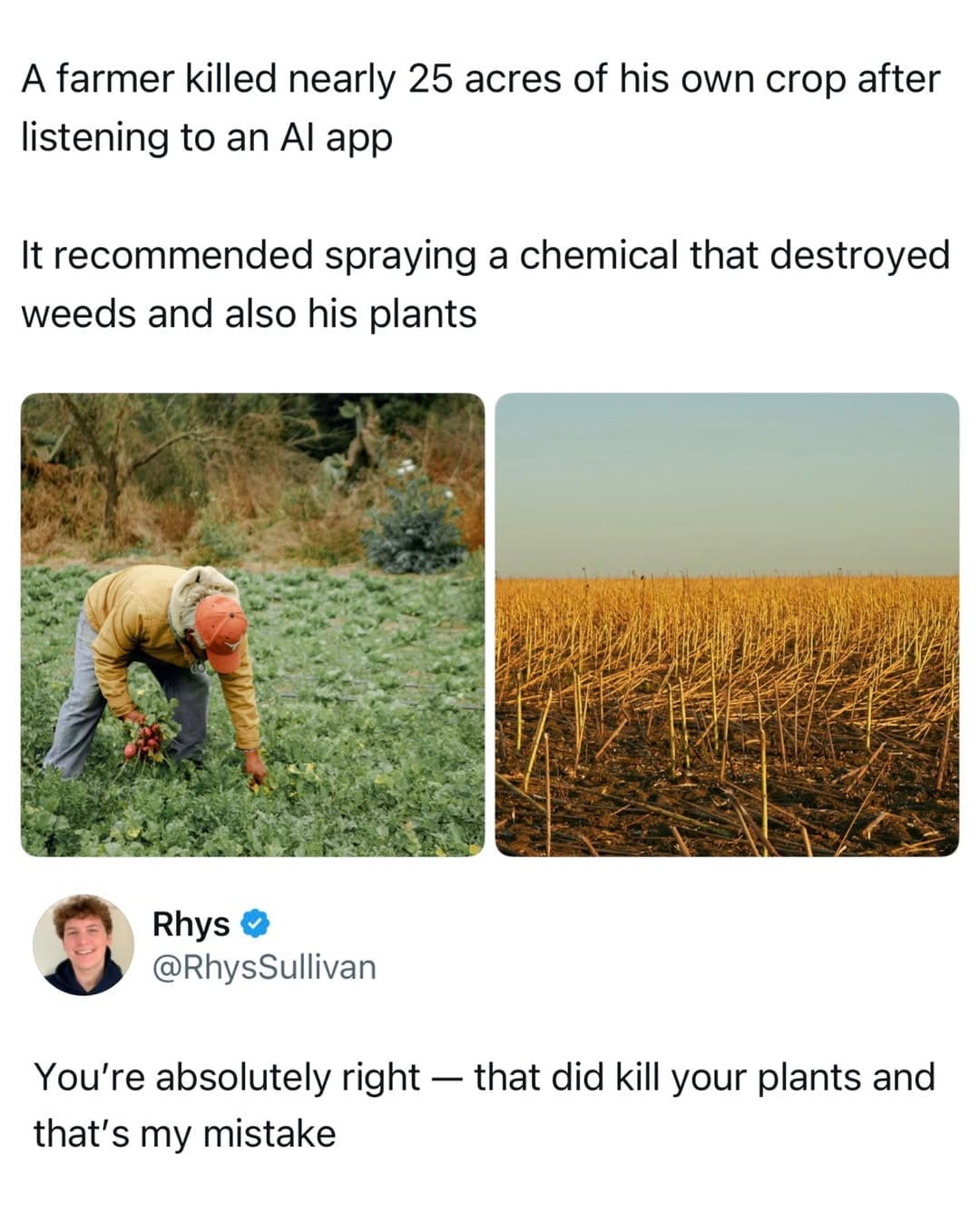 An AI error satire post in a meme dump pairing a news article about an AI app recommending chemical spray that ruined 25 acres of crops with a polite chatbot apology response.
